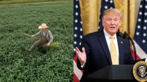 As Tariff Fallout Hits Hard, Trump Pushes $12 Billion Bailout to Shield Farmers
