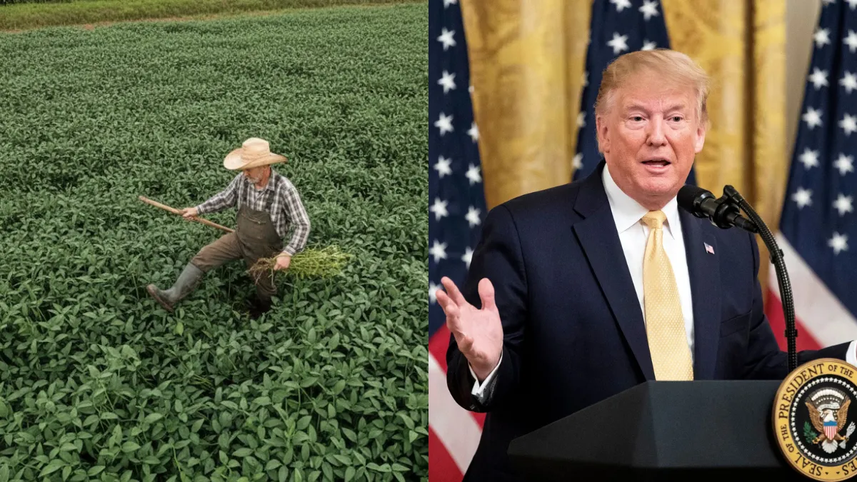 As Tariff Fallout Hits Hard, Trump Pushes $12 Billion Bailout to Shield Farmers
