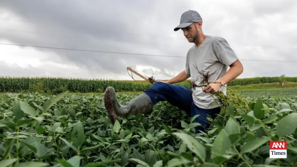 White House Launches Emergency Relief for U.S. Agriculture