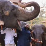 Ambani Family&rsquo;s Zoo
