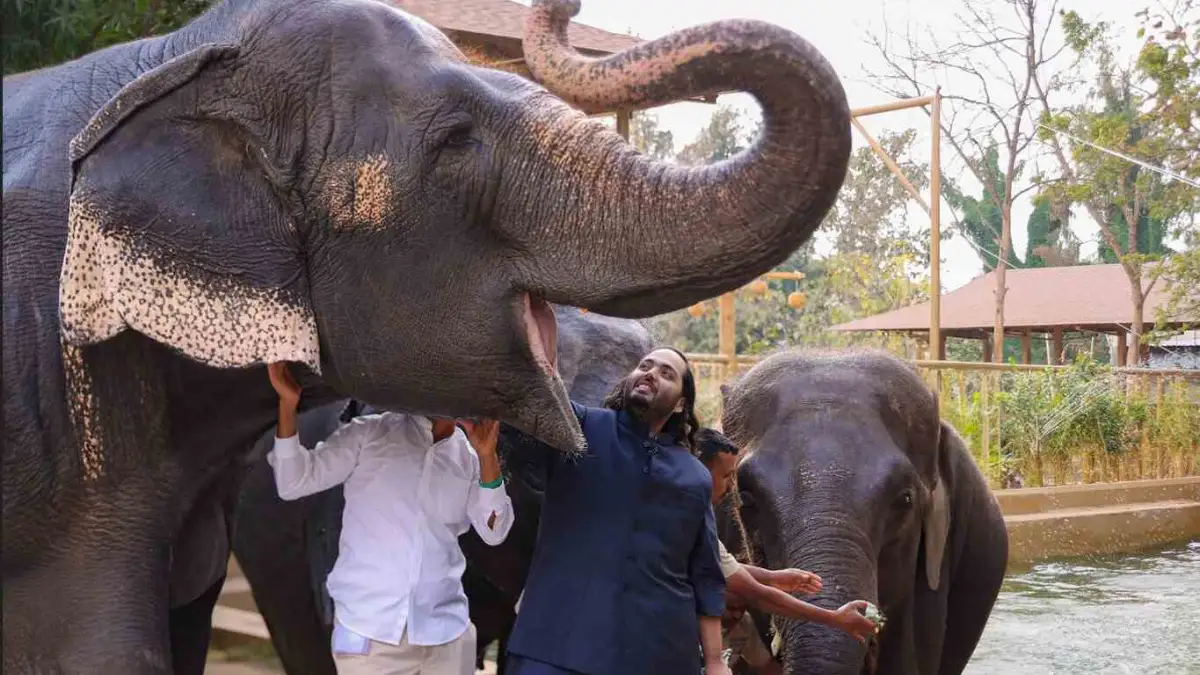 Ambani Family&rsquo;s Zoo