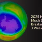 2025 Hole Much Smaller, Breakup 3 Weeks Early