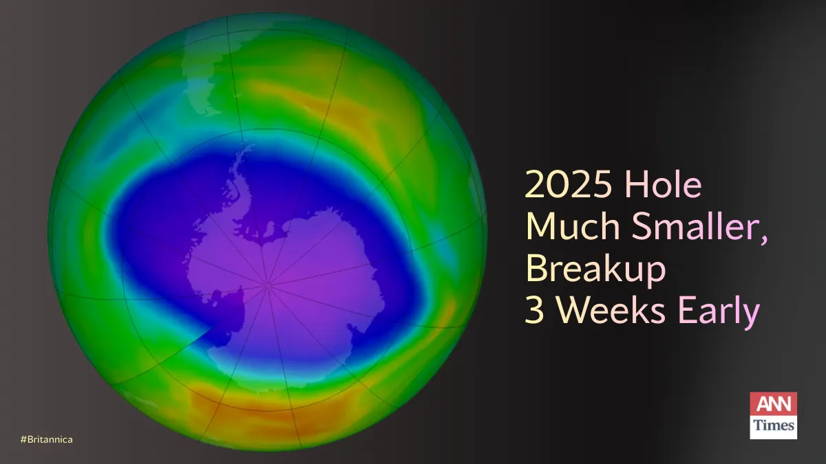 2025 Hole Much Smaller, Breakup 3 Weeks Early